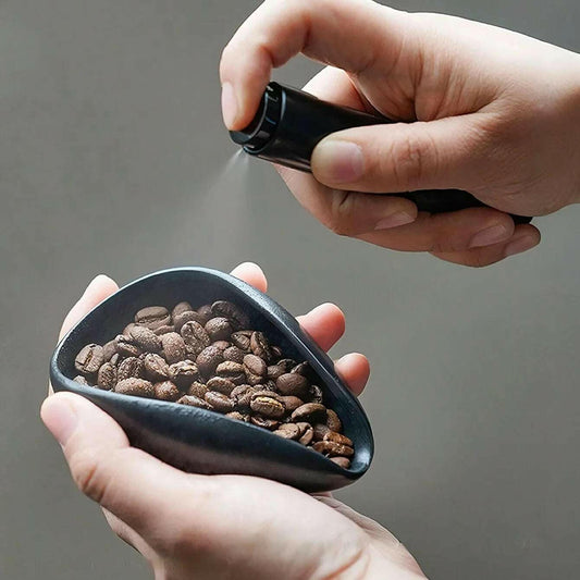 Hands holding coffee beans and a grinder from a professional coffee equipment kit by Savies